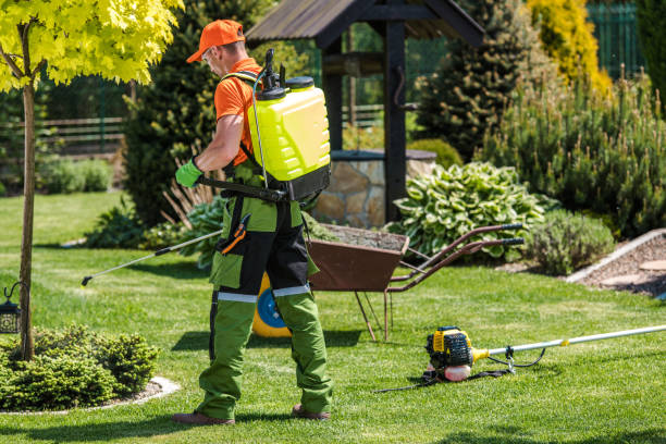 Best Pest Exclusion Services  in Sesser, IL